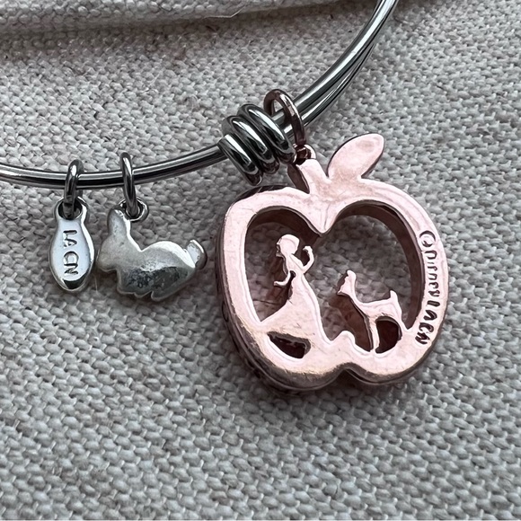 Disney Poison Apple Snow White silvertone  rose gold tone bracelet bangle - Picture 4 of 6